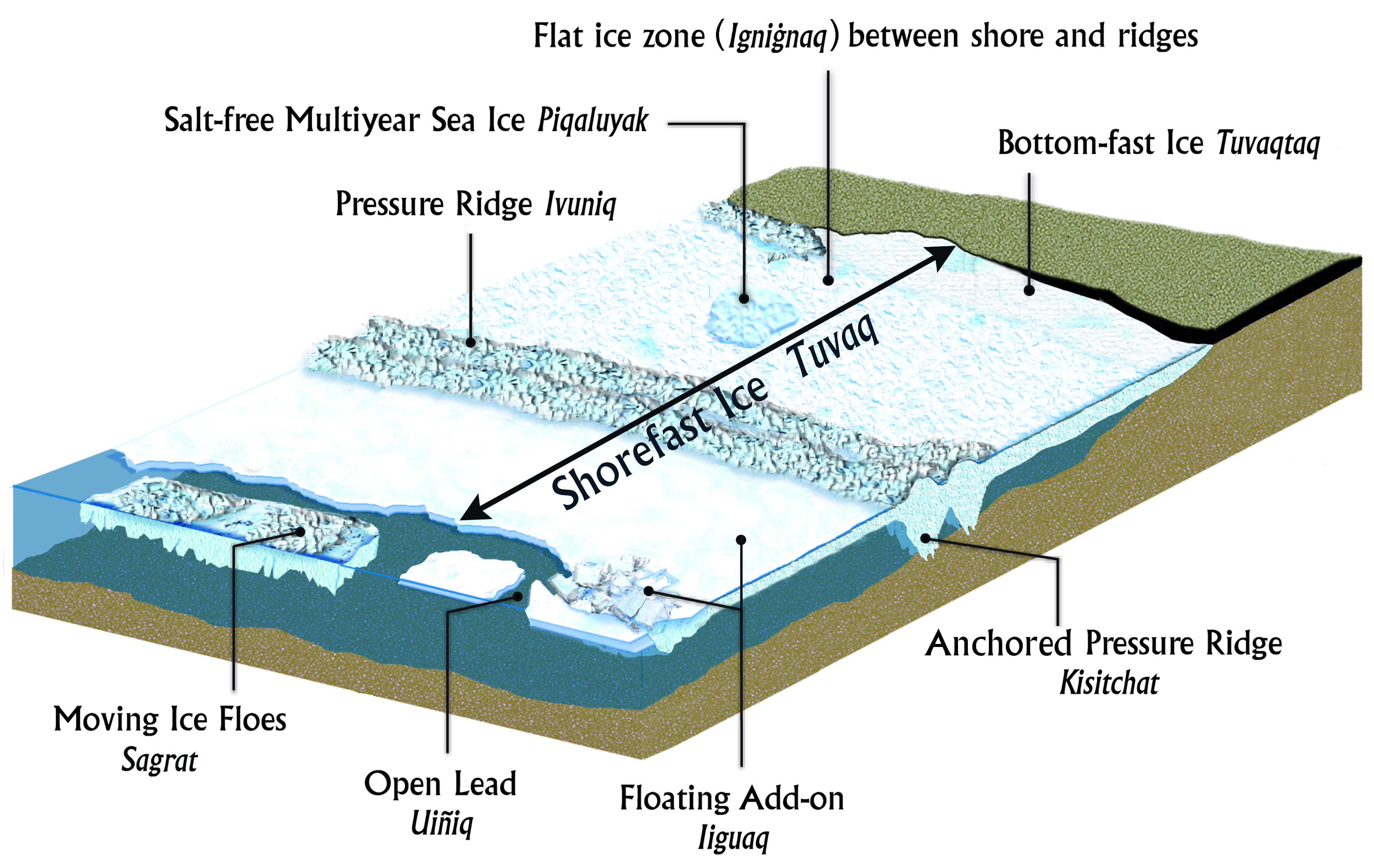 shorefast ice diagram